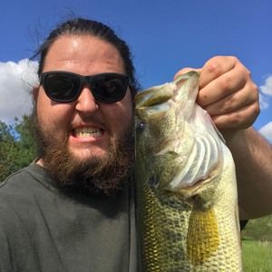 Meet your Posher, Dylan